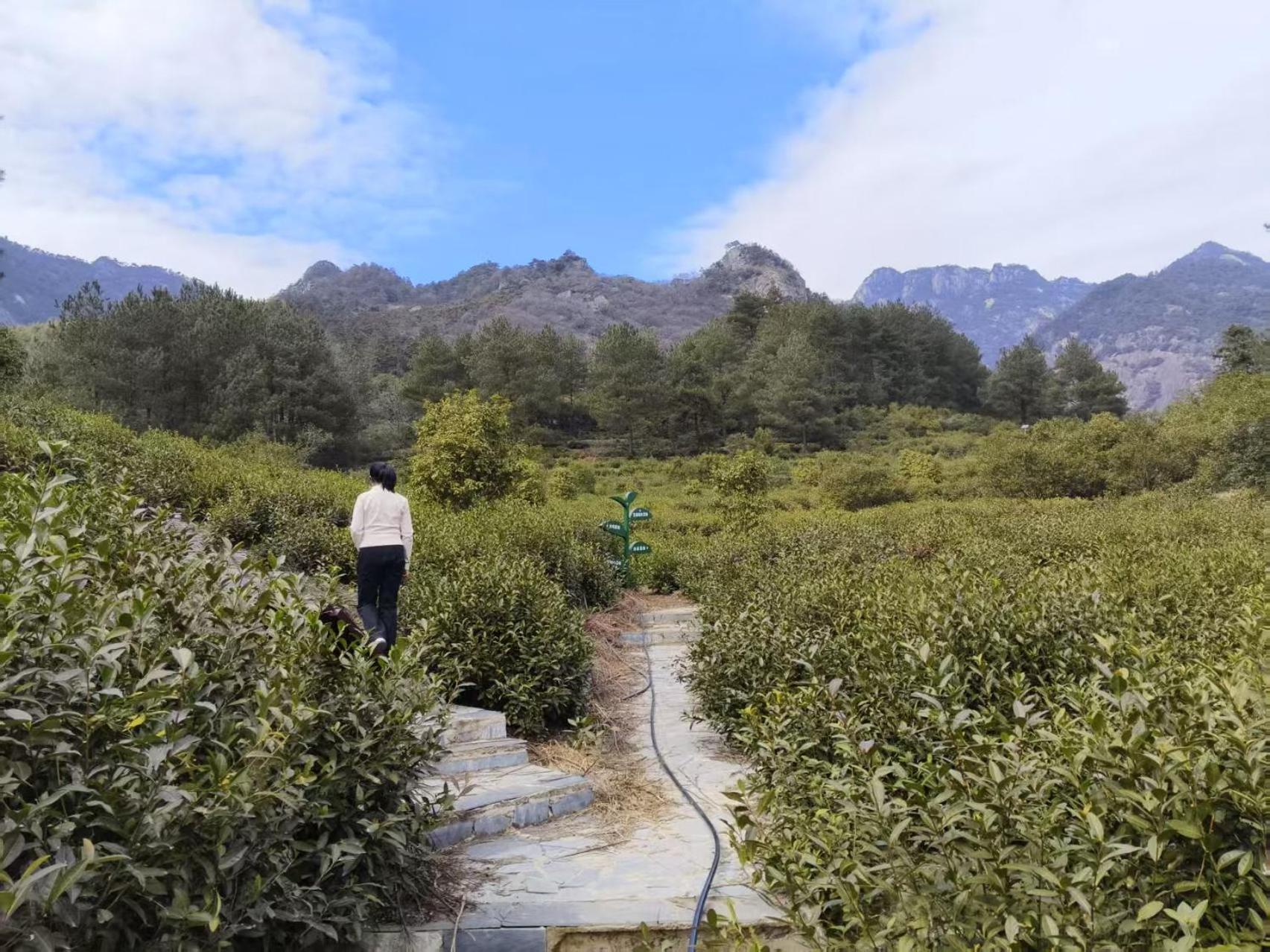 חואנגשאן Yunshan Villa מראה חיצוני תמונה